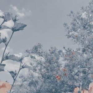 Meet your Posher, Noemi